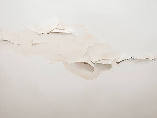 Can Water Damaged Drywall Be Saved? – East End Flood & Fire
