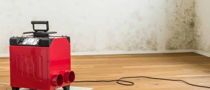 horizontal view of a red dehumidifier in an empty apartment room with a serious toxic mold and mildew problem