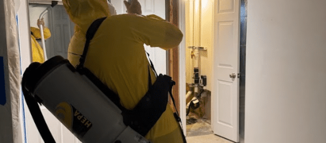 Professional Restoration Expert